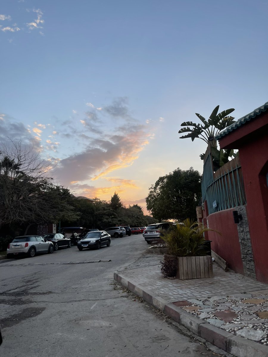 Soha Serry tweet media