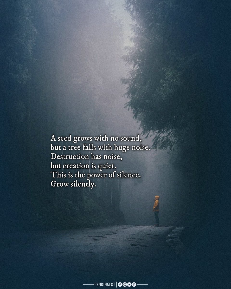 A seed grows with no sound, but a tree falls with huge noise. Destruction has noise, but creation is quiet. This is the power of silence. Grow silently.

#motivation #entrepreneur
