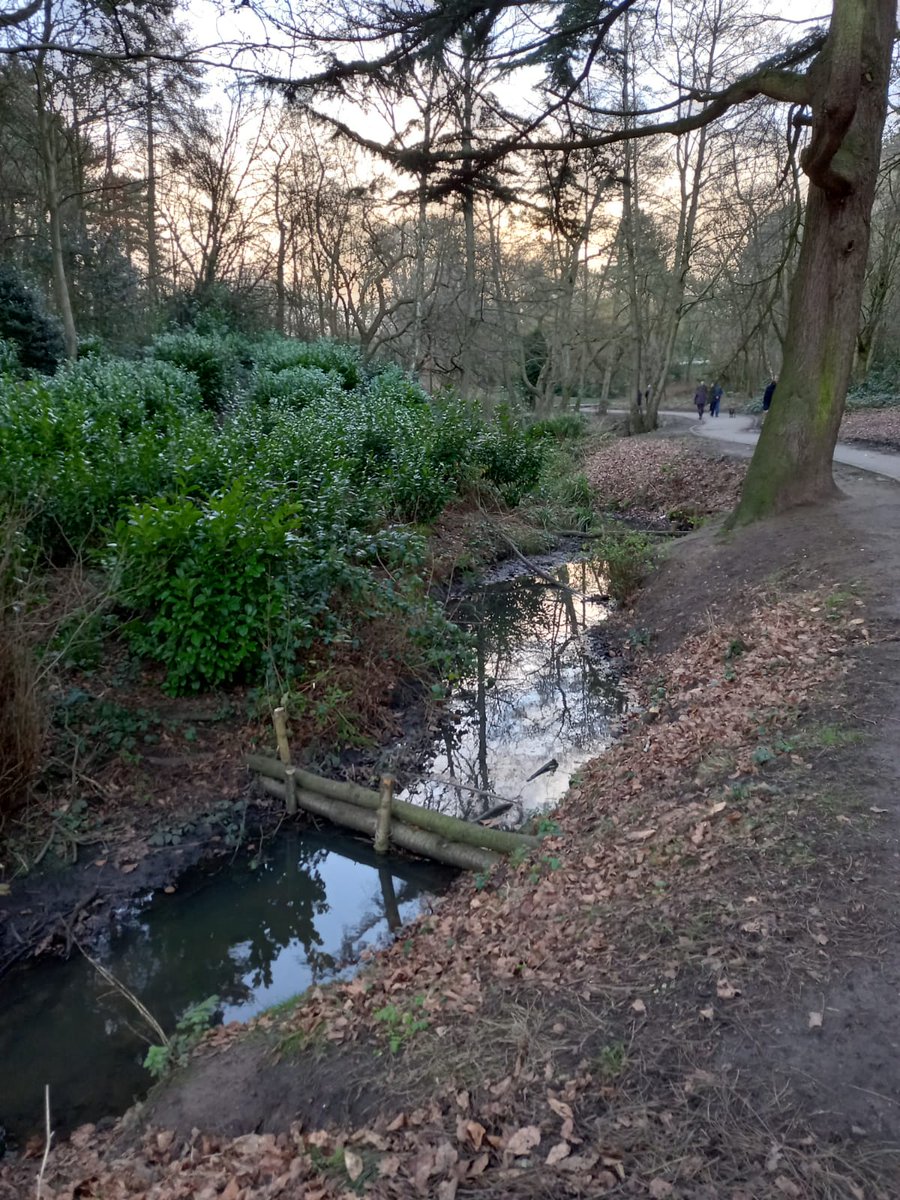 merseyforest's tweet photo. These clever leaky dams stem but don't stop the flow of water, protecting the environment | Great team work with @ILoveSeftonPark @theriverstrust &amp; Gino's Cafe #SeftonPark #environment https://t.co/pIRhH3SH3O