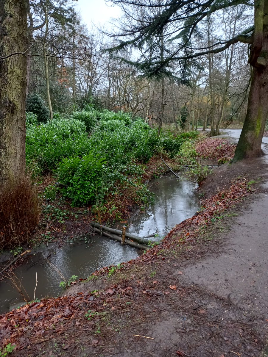 merseyforest's tweet photo. These clever leaky dams stem but don't stop the flow of water, protecting the environment | Great team work with @ILoveSeftonPark @theriverstrust &amp; Gino's Cafe #SeftonPark #environment https://t.co/pIRhH3SH3O