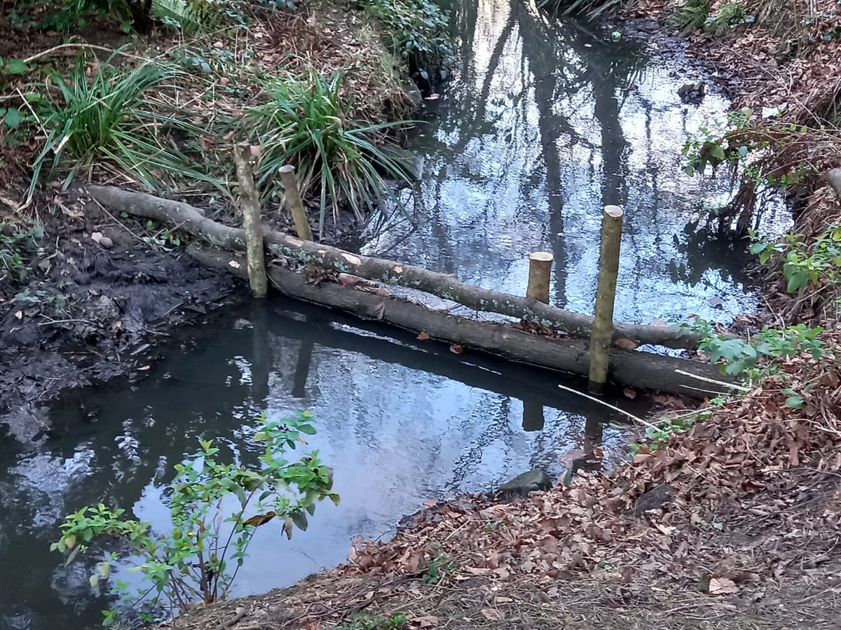 These clever leaky dams stem but don't stop the flow of water, protecting the environment | Great team work with <a href="/ILoveSeftonPark/">The Friends of Sefton Park</a> <a href="/theriverstrust/">The Rivers Trust</a> &amp; Gino's Cafe #SeftonPark #environment