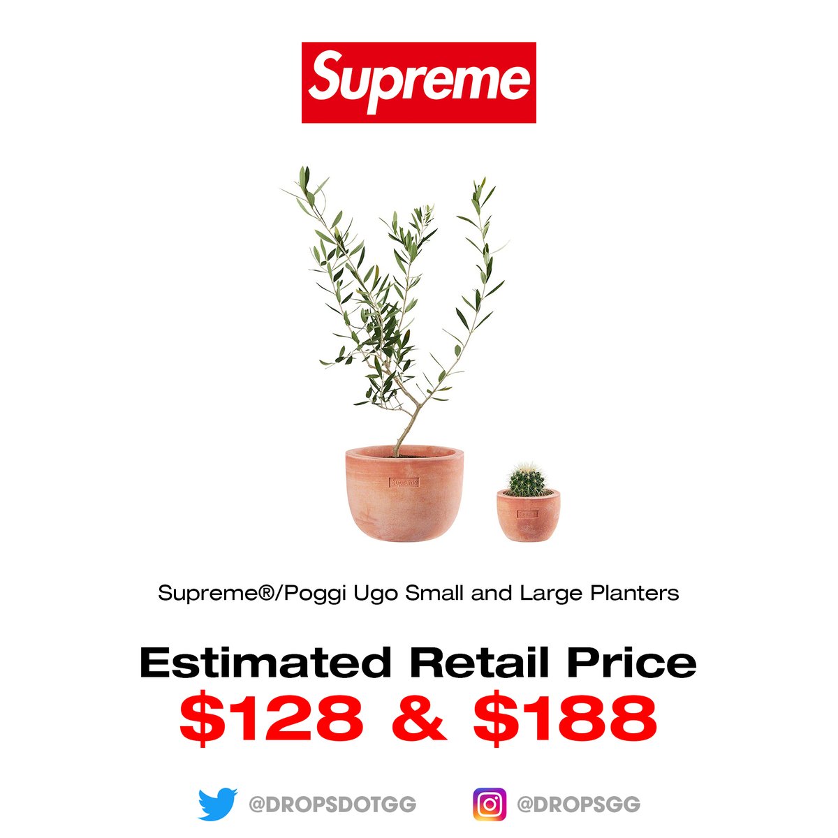 Supreme Poggi Ugo Small Planter-