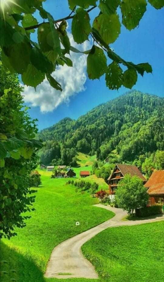 AzadBradost's tweet photo. @hozyem https://t.co/7CLe2TmzXK