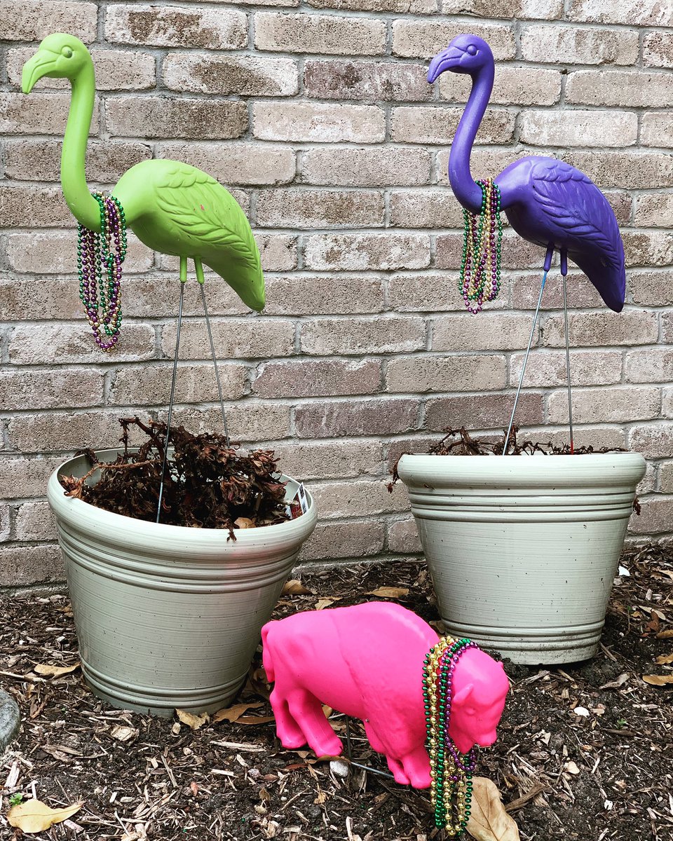 leecytx's tweet photo. Happy Mardi Gras! Love #tikimingo #flamingosofinstagram #mardigrasflamingo #mardigrasbuffalo #mardigrasbeads #pinkbuffalo #buffalove #2022 https://t.co/2xE2SHcl61