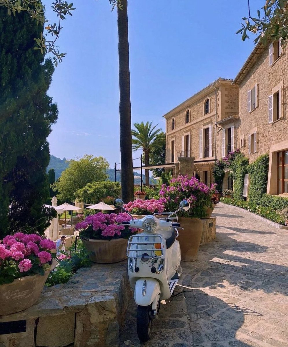 viewsoff's tweet photo. Palma De Mallorca, Spain. https://t.co/5biL1UbGGJ