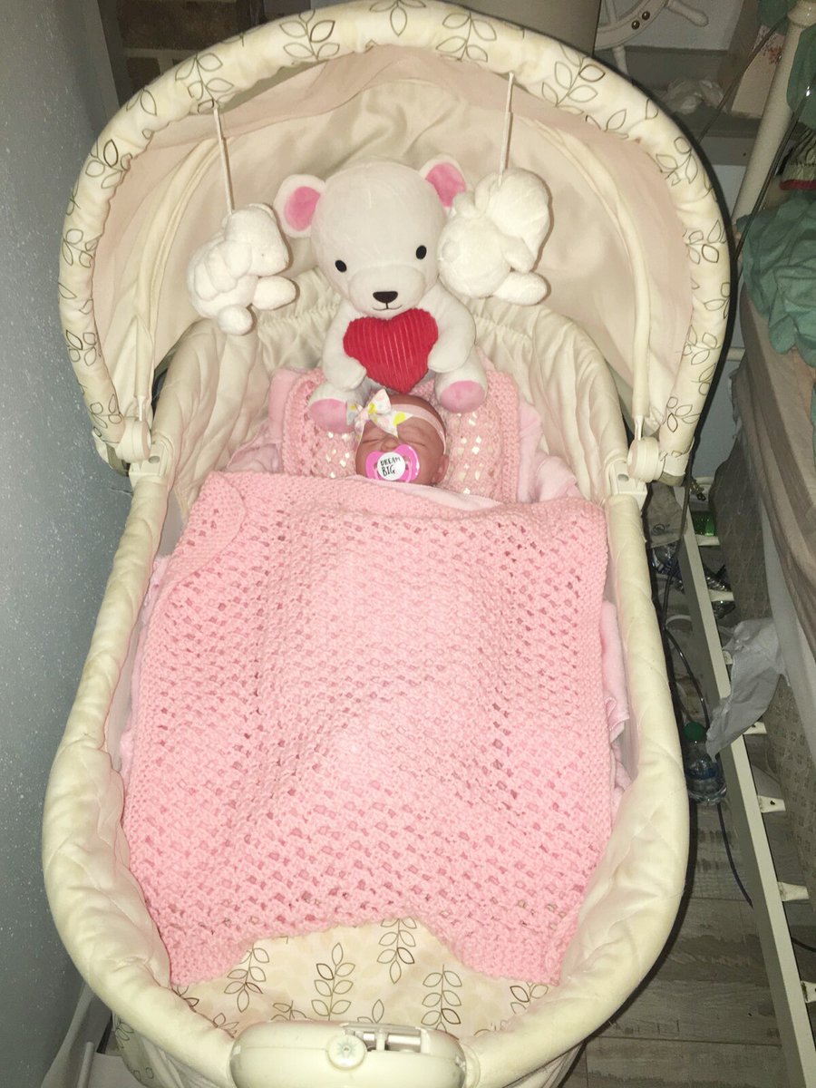 Nikki Freese (@laurenfreese5) on Twitter photo 