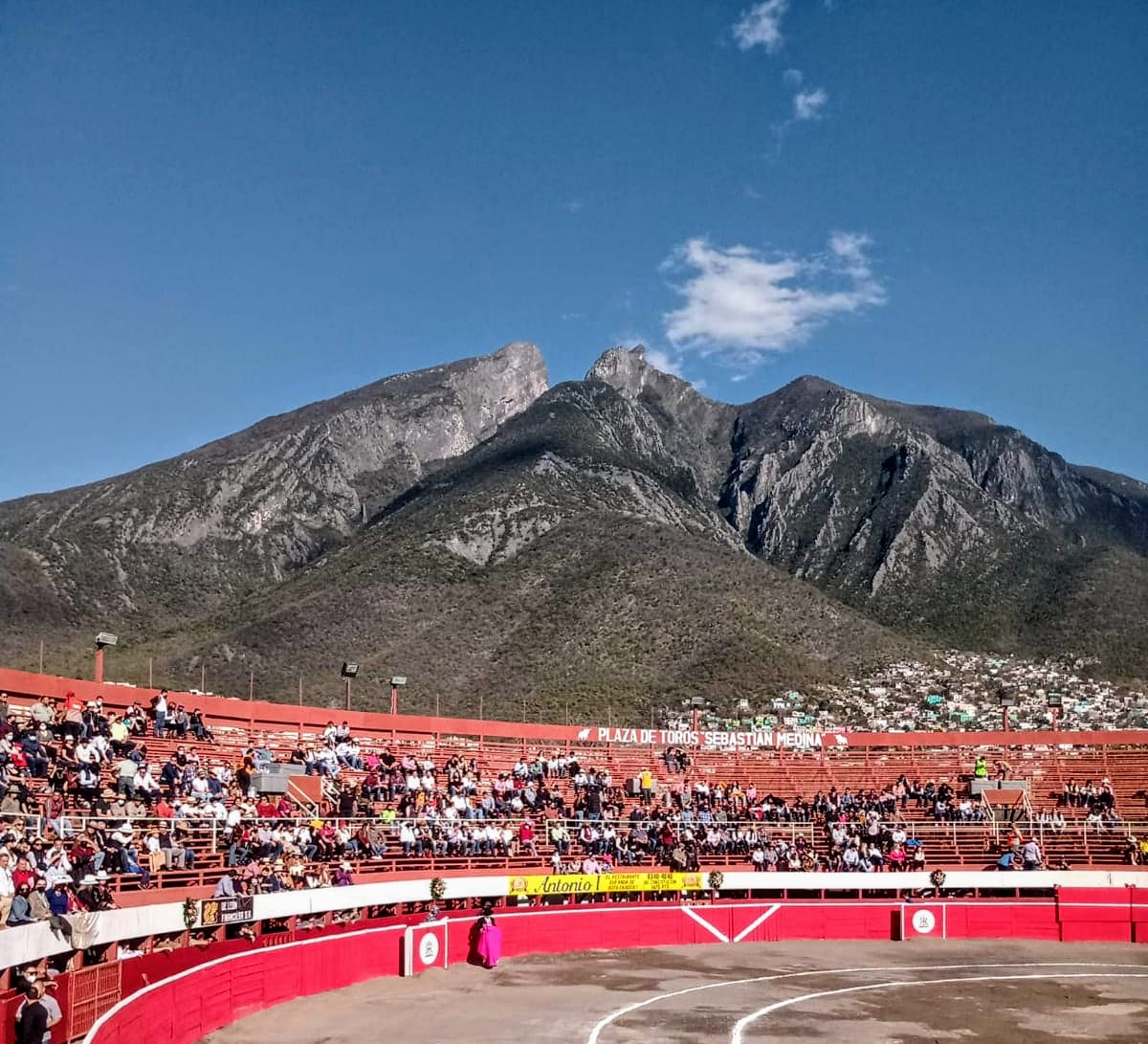 MUY BUENA TARDE AMIGAS Y AMIGOS TENGAN TODOS EXCELENTE DOMINGO.
SALUDOS Y SALUD 👍🏿🥃🥃