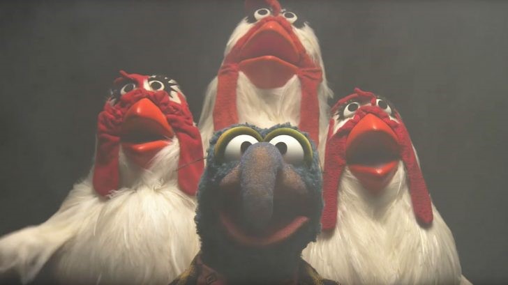 UGotta_Laff's tweet photo. You're almost better than the Muppets! Click on this link if you'd like to hear your competition.
https://t.co/FLooq9FWDR
#Comedy #Smile #Fun #Humor #Humorous
#RememberToLaugh #Positive https://t.co/8dtLuxYndy