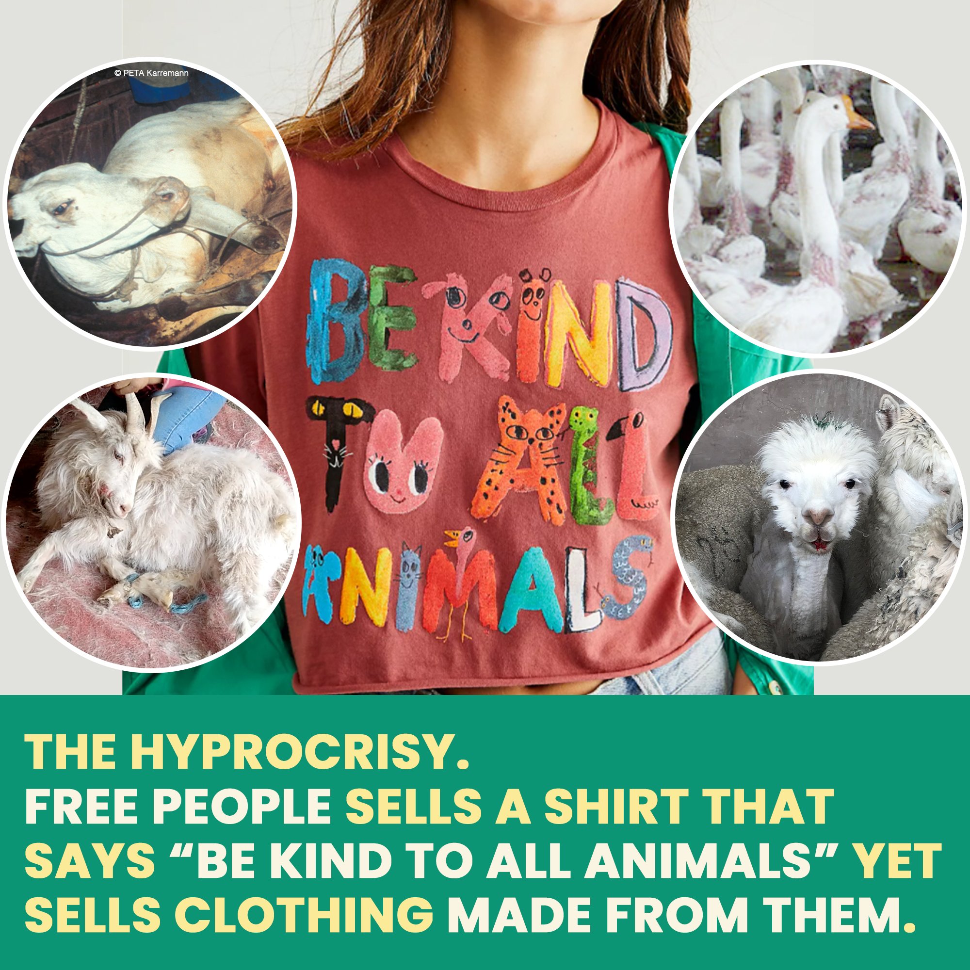PETA on Twitter: PETA on Twitter: