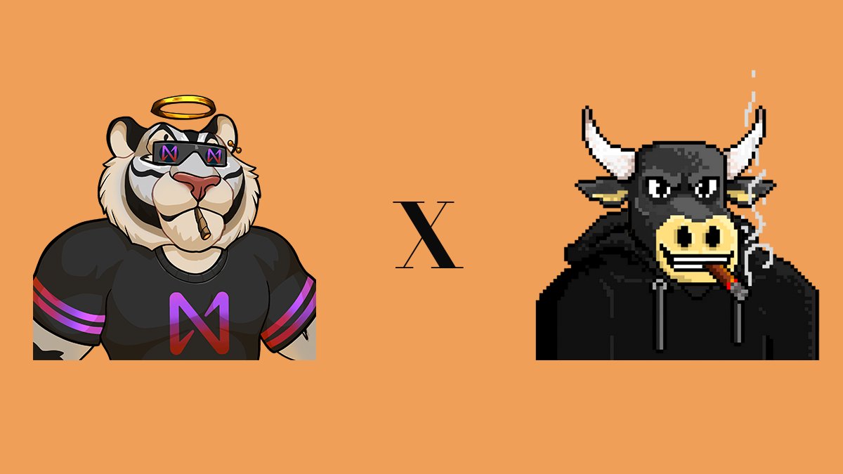 Near Tiger Academy | SOLD OUT! tweet media