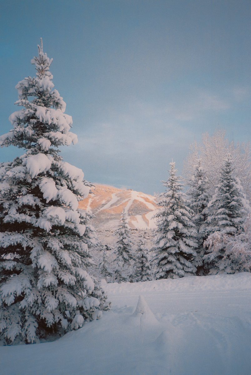 AlexKittoe's tweet photo. Winter scenes 🎞 https://t.co/SdhjQSlxJk