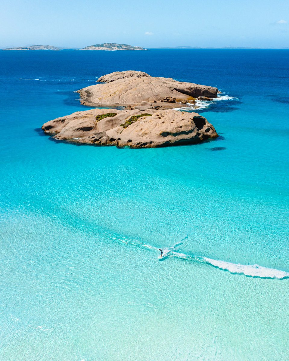 Dylan Alcock tweet media