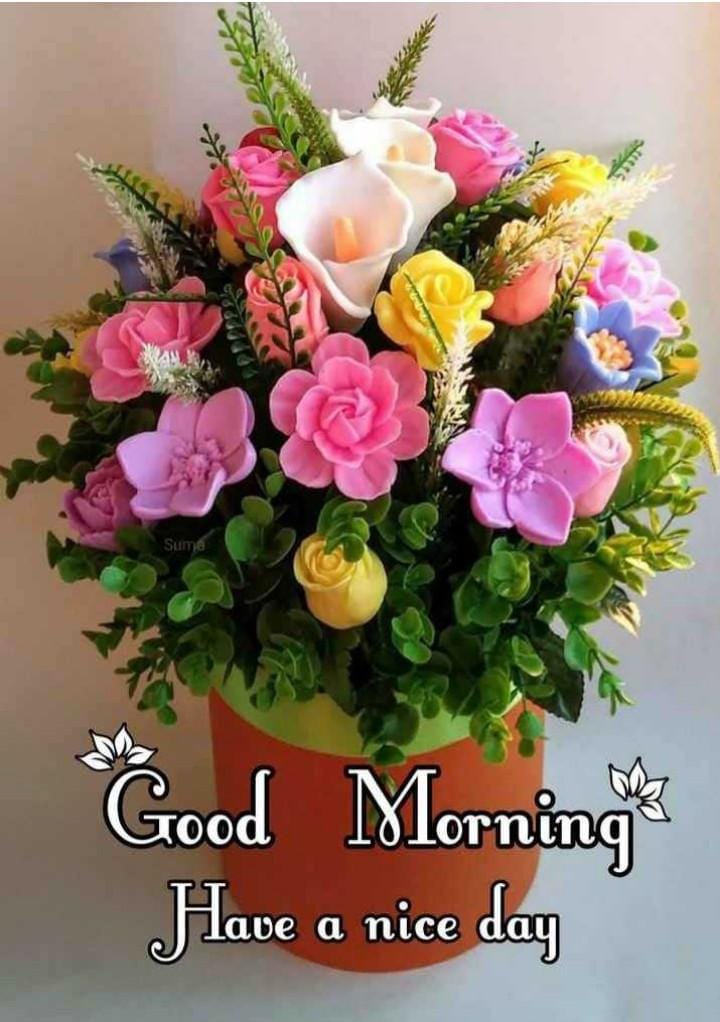 Santosh Singh (@santosh32003371) on Twitter photo 