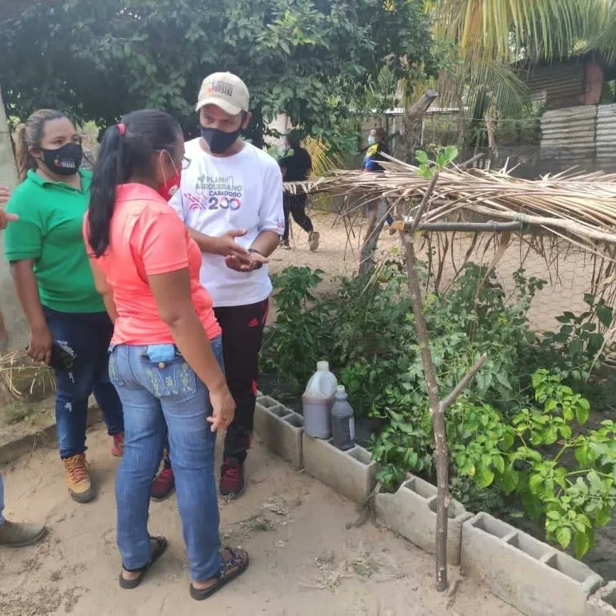 ViceSocialT_ve's tweet photo. El Ministerio de Agricultura Urbana, atendió al pueblo productor durante Plan de Amor en Acción organizado en parroquia Calabozo del estado Guárico.
#ViceSocial #VictimasDelBloqueo #AmorEnAccion #Venezuela #guarico @minppau https://t.co/yrXBFNnkHk