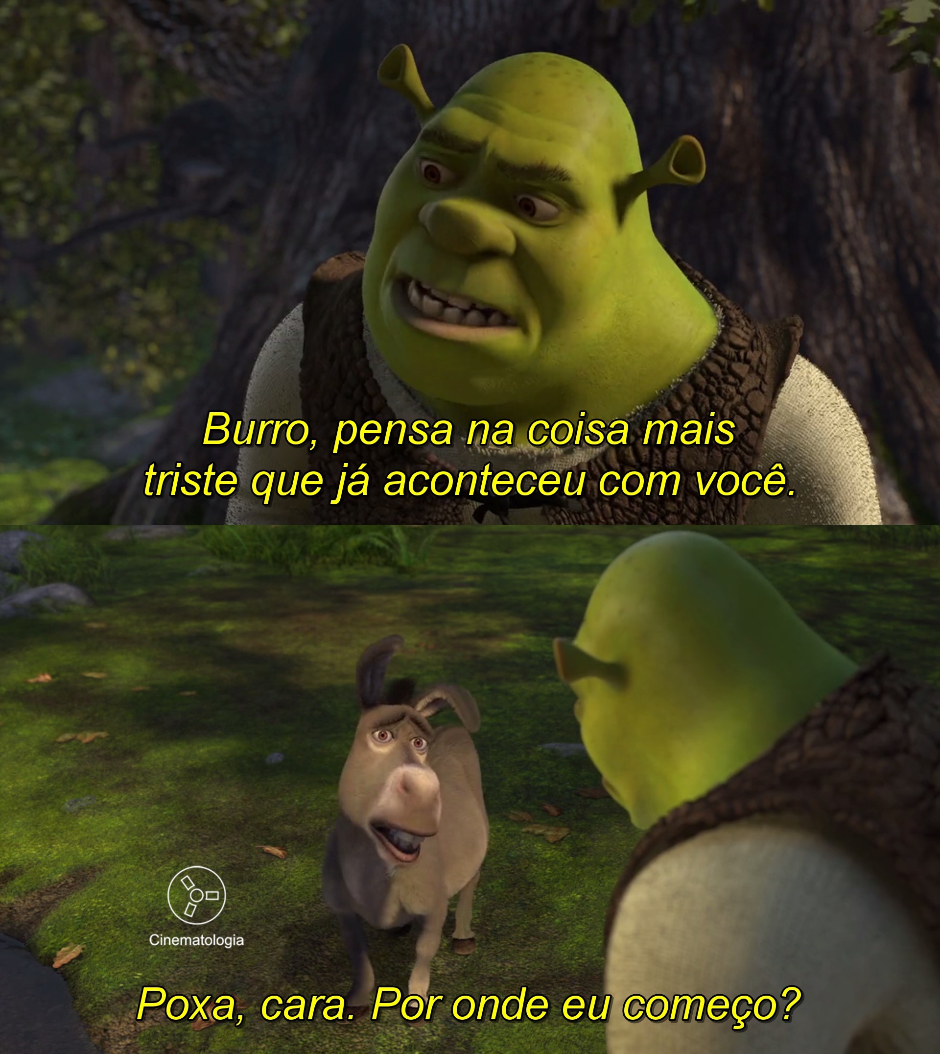 shrek triste ao saber que sou - Gente Boazinha Só Se Ferra