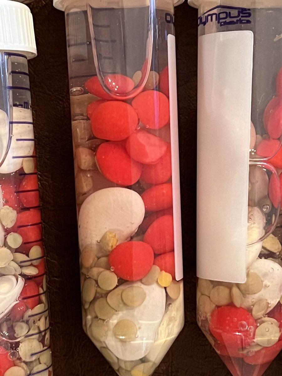 James LaBelle, M.D., Ph.D. tweet media