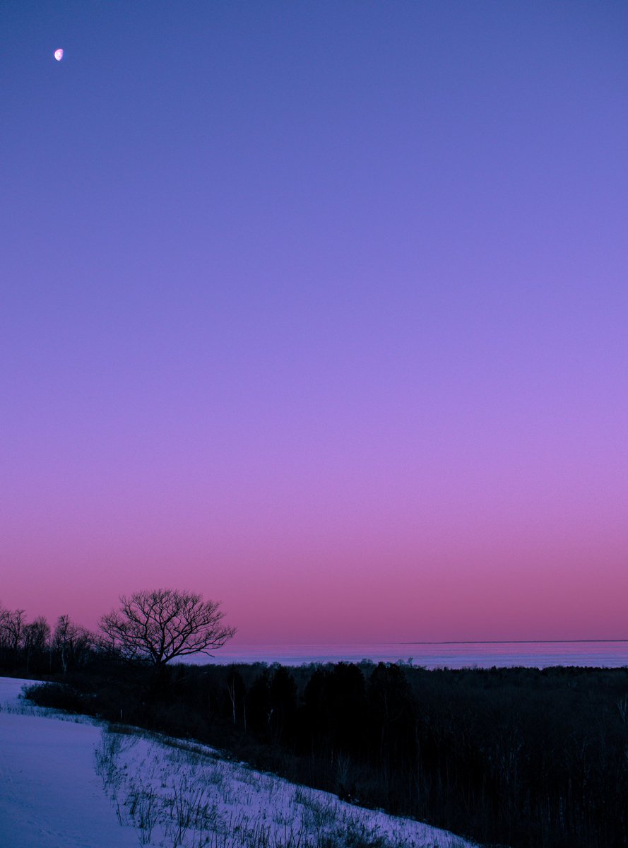 camerondevor's tweet photo. pink winter skies https://t.co/Q44wlbW2vT