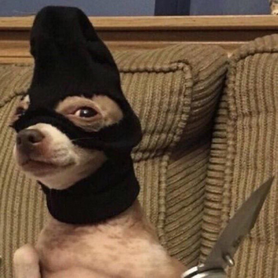 cares_daya's tweet image. y’all better let fez and ashtray live or i swear-