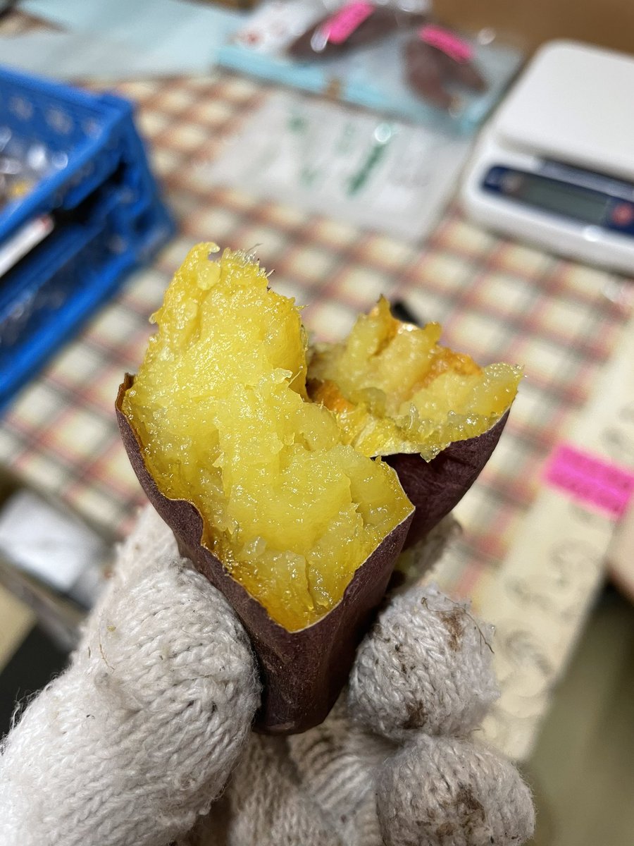yonekawa070's tweet photo. 第11回プレゼント企画！

訳あり品を減らそうの企画で、土付きの紅はるか、またはシルクスイート5キロを3名様にプレゼント🎁

【応募方法】
❶ クマ吉農園をフォロー
❷ こちらの企画のリツイート

期間は今週の月〜金曜日までとなりますので、よろしくお願い致しますm(_ _)m https://t.co/9PZjhVmWpz