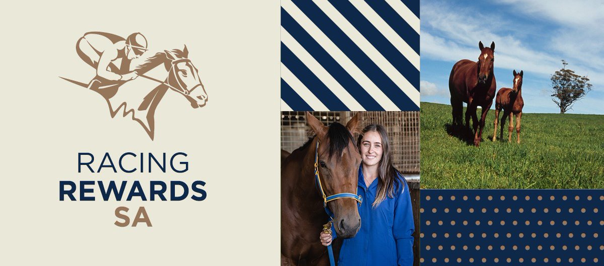 RacingSA's tweet photo. Nominations for category 2/3 foals born in 2020 close next week! 

Don't miss out on getting your horse qualified for #RacingRewardsSA 🙌

NOMINATION FORM | https://t.co/XBS0Fomzpj https://t.co/6IzWV1lZgn