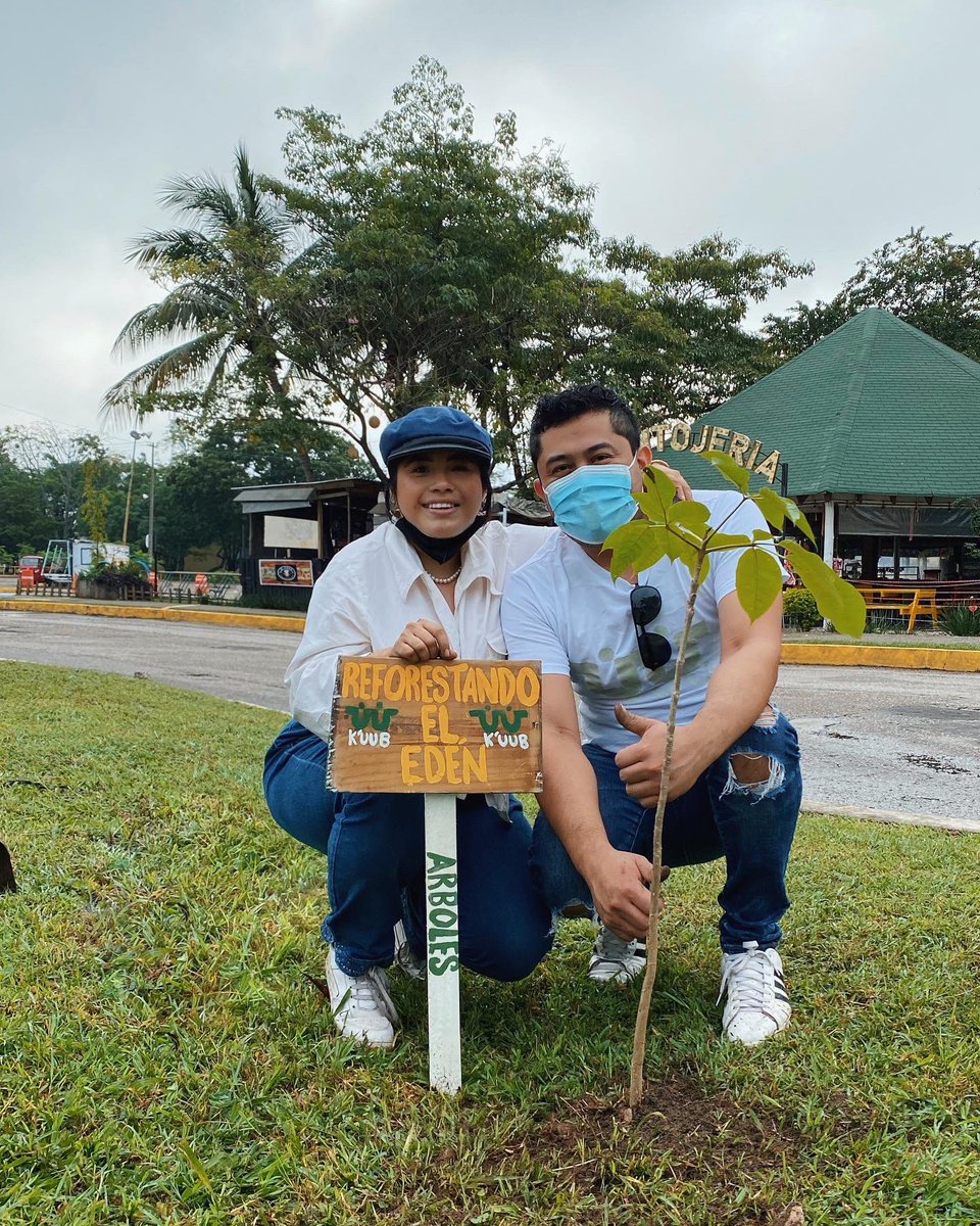 KuubMx's tweet photo. Terminando la reforestación del camellón del parque la choca, juntos hacemos realidad un futuro más limpio y próspero para Tabasco 💚✨ 

#reforestation #reforestemos #arboles #tabasco #villahermosa
@HolachiotTab @inundeishon @candyflipmx @bbcmundo @SEDEMA_CDMX https://t.co/p0x7FLqAIT