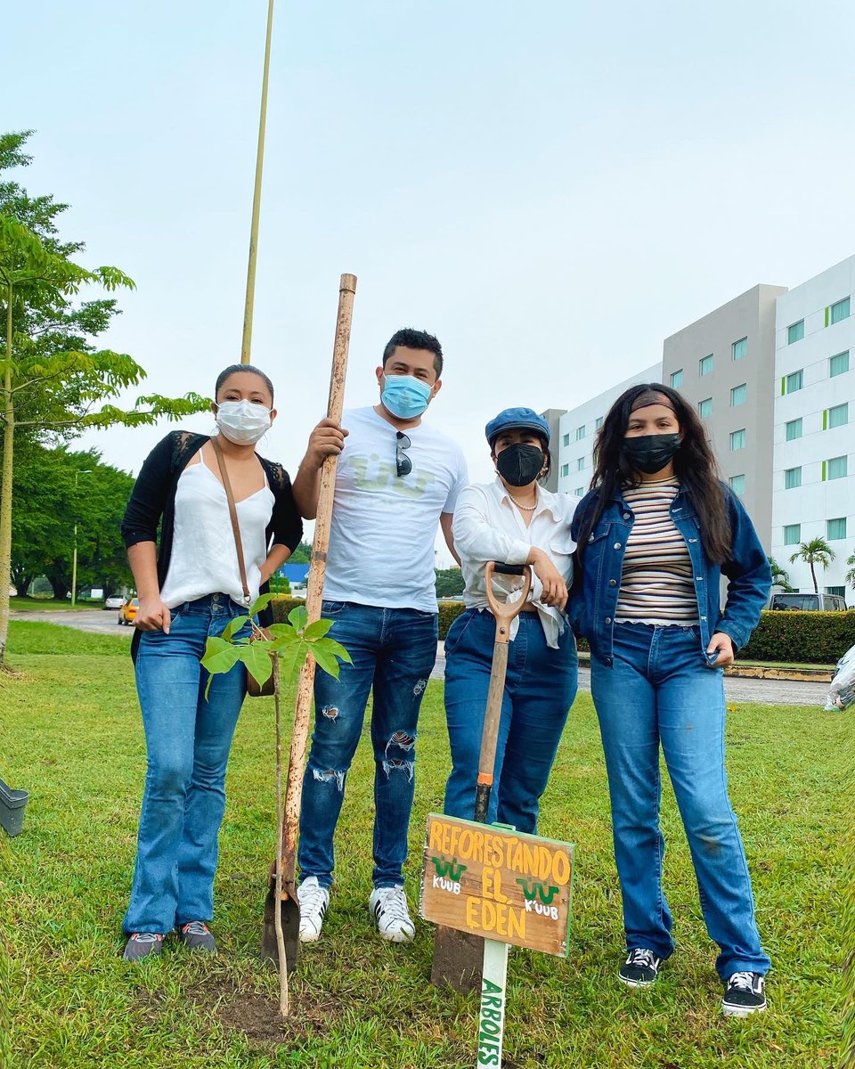 KuubMx's tweet photo. Terminando la reforestación del camellón del parque la choca, juntos hacemos realidad un futuro más limpio y próspero para Tabasco 💚✨ 

#reforestation #reforestemos #arboles #tabasco #villahermosa
@HolachiotTab @inundeishon @candyflipmx @bbcmundo @SEDEMA_CDMX https://t.co/p0x7FLqAIT