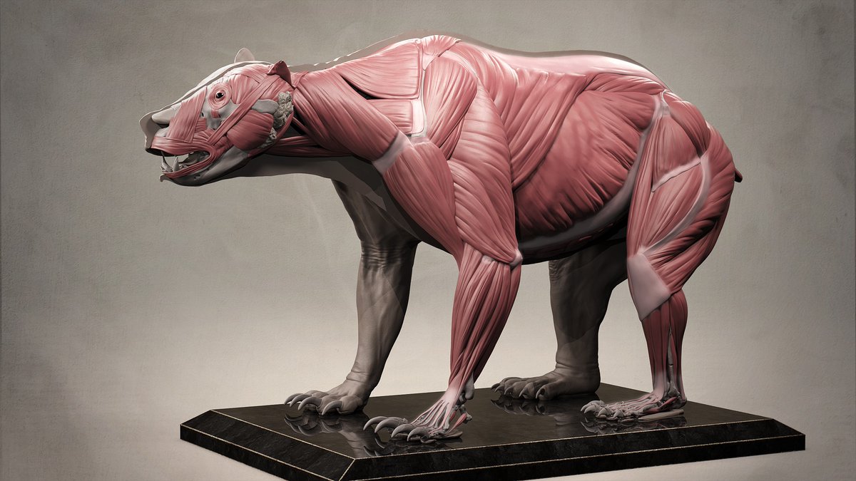 Art is something that makes you breathe with a Different kind of happiness. IF YOU WANT TO BUY MY ARTS PLEASE OFFER i Have no money for gas fee 😇 PLEASE OFFER FOR MY GAS FEE TO SELL MY ARTS
opensea.io/collection/tra…