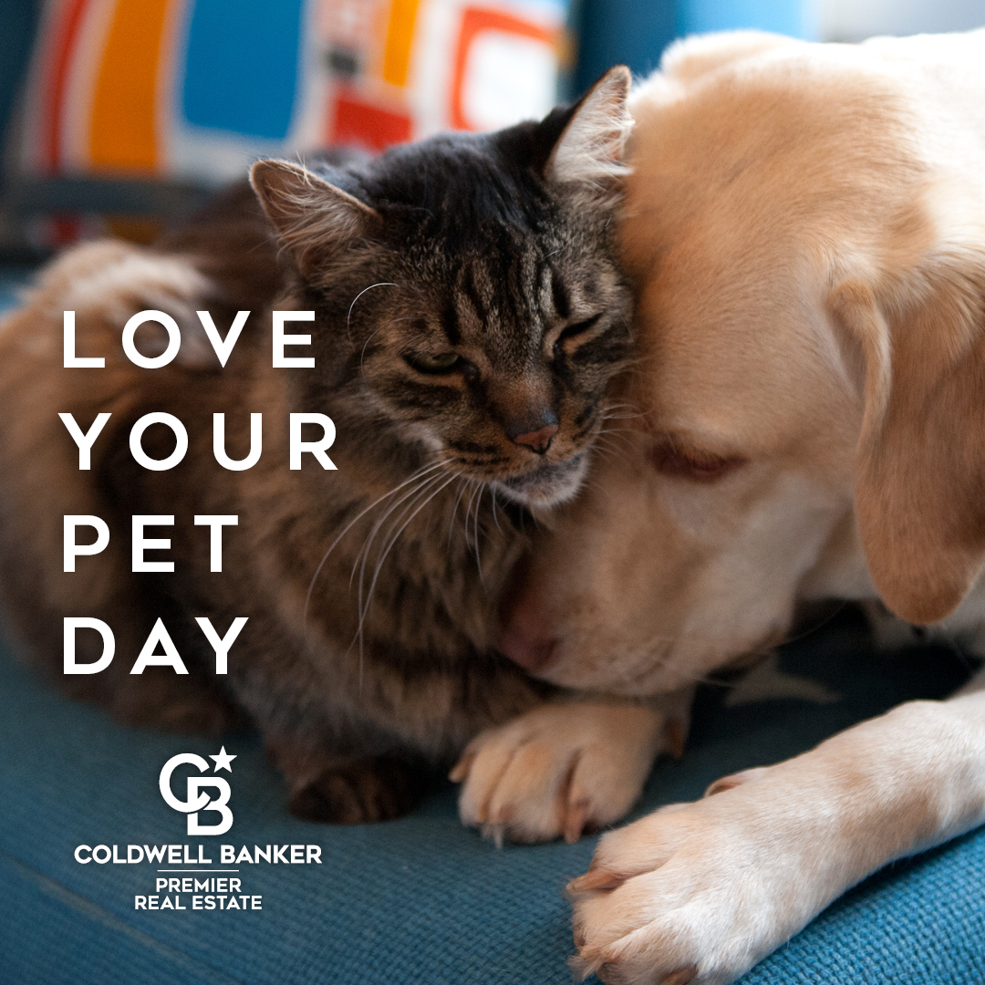 AblakeRealty's tweet photo. Happy National Love Your Pet Day! 🐾❤ https://t.co/JGSXHHBymU https://t.co/nDQ7CEcu2L