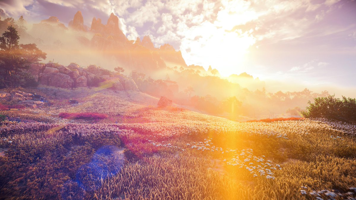 ArtMinimal's tweet photo. #PS5Share, #HorizonЗапретныйЗапад https://t.co/8DlnqdJJkl