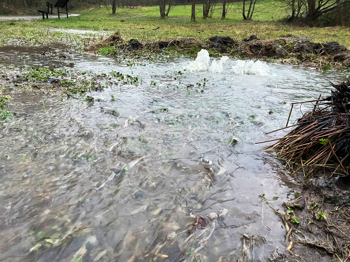 _Chris_Nash_'s tweet photo. Unfortunately also plenty of #pollution entering the beck. From surface water runoff laden with fine #sediment to point source pollution - including these  repeat offender manhole covers, one of which was spilling #sewage &amp; leaving a trail of wet wipes to prove it 💩🤢 https://t.co/aGtn0SBRdl