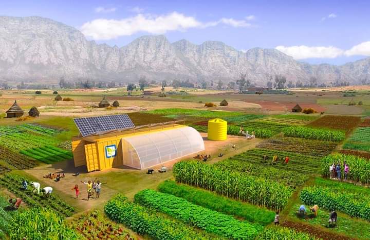 InteresAgro's tweet photo. TIPOS DE AGRICULTURA

👨‍🌾Según el agua:
De secano
De regadío

👨‍🌾Según su magnitud:
Agricultura de subsistencia.
Agricultura Industrial o de.

👨‍🌾Según los medios de producción:
Agricultura intensiva
Agricultura extensiva

👨‍🌾Según la técnica y objetivo:
-Tradicional.
-Orgánica
#agro https://t.co/2LzXLIf245
