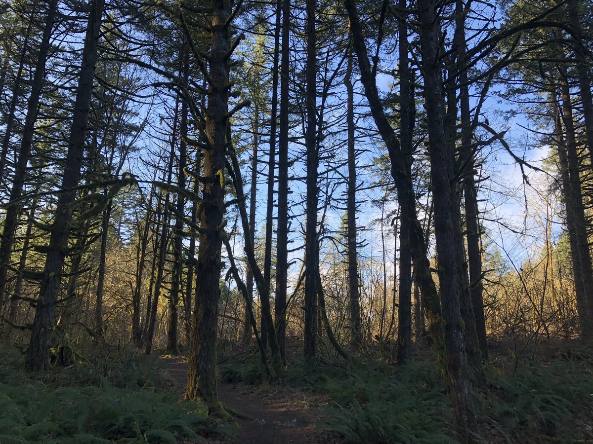 Brian Knaus tweet media