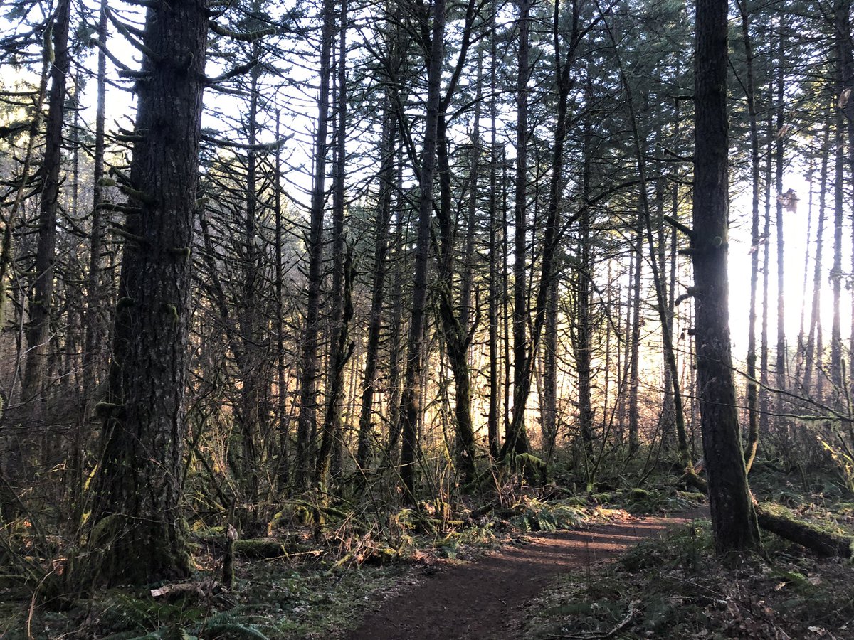 Brian Knaus tweet media