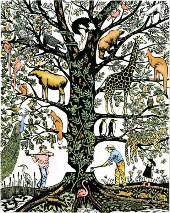 BHI_GLOBAL's tweet image. Every singe  #BiodiversitySpecies plays a tremendous role and contributes to the survival of others in the ecosystem including us people.

The time is now to start conserving, restoring and protecting biodiversity🦣🐋🦋🦍🌲 in all its forms.
#HaltBiodiversityloss