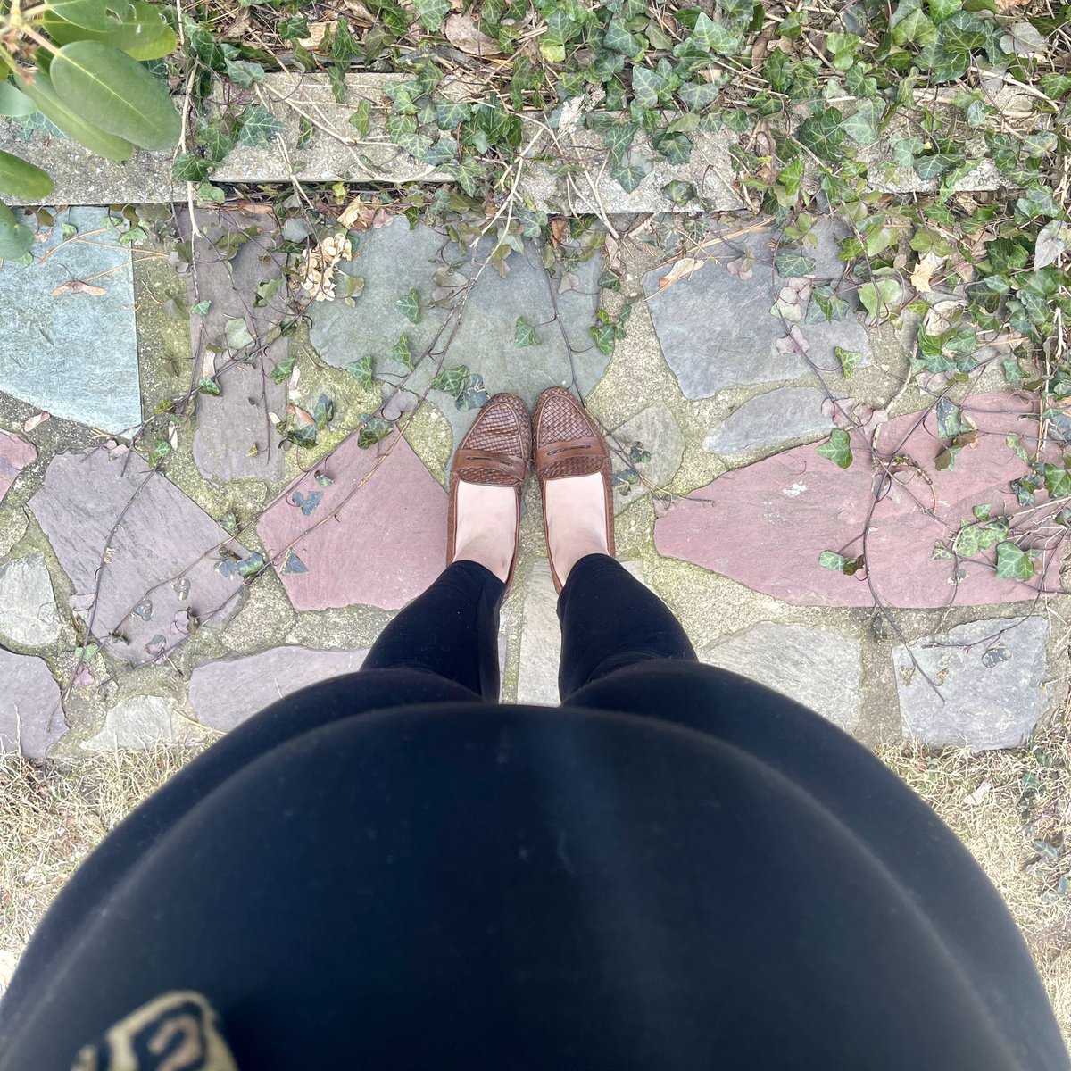 can a girl get some leopard maternity lewks?!
🐆 #ootd #selfie #fromwhereIstand

👓: <a href="/BCBGMAXAZRIA/">BCBGMAXAZRIA</a> c/o <a href="/CVOptical/">ClearVision Optical</a> #glasses #eyewearblogger #eyestyleootd

👂🏼: <a href="/julie_vos/">Julie Vos</a>

📿: <a href="/ElectricPicks/">Electric Picks</a>

Some #SundayShopping for #maternity clothes 🔛 my #styleblog: behindtheleopardglasses.com/2022/02/can-gi…