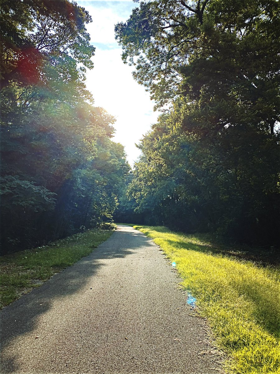 cityofbhamal's tweet photo. A Sunday beauty shot to brighten your weekend. #ViewsFromEnonRidge #All99 https://t.co/JyYxjyvuDm