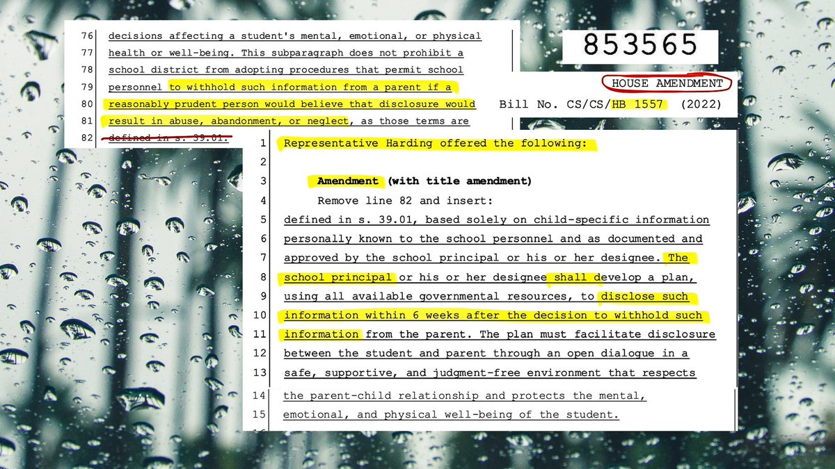 An amendment was just filed by the sponsor of #DontSayGay to make it even more dangerous for vulnerable kids with a STATE-MANDATED outing of LGBTQ students to parents, specifically in cases of abuse, abandonment + neglect.

This will have devastating consequences for our youth.😢