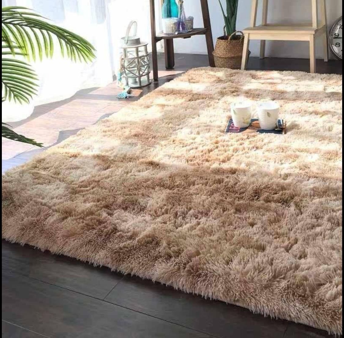 NeoentleCarpets's tweet photo. #JazziQ #BBMzansi 

For only R360 💕💕💕💕💕

We deliver Nationwide 🚚🎁 https://t.co/jHuP3QmGXq