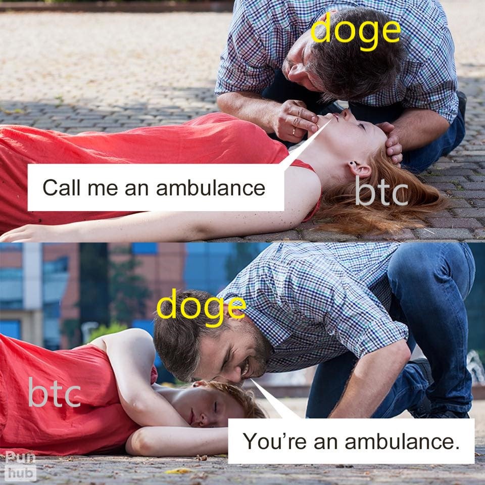 nfkmobile's tweet photo. gm #dogecoin ... #BTC wtf bro! https://t.co/E8JlSyIFFo