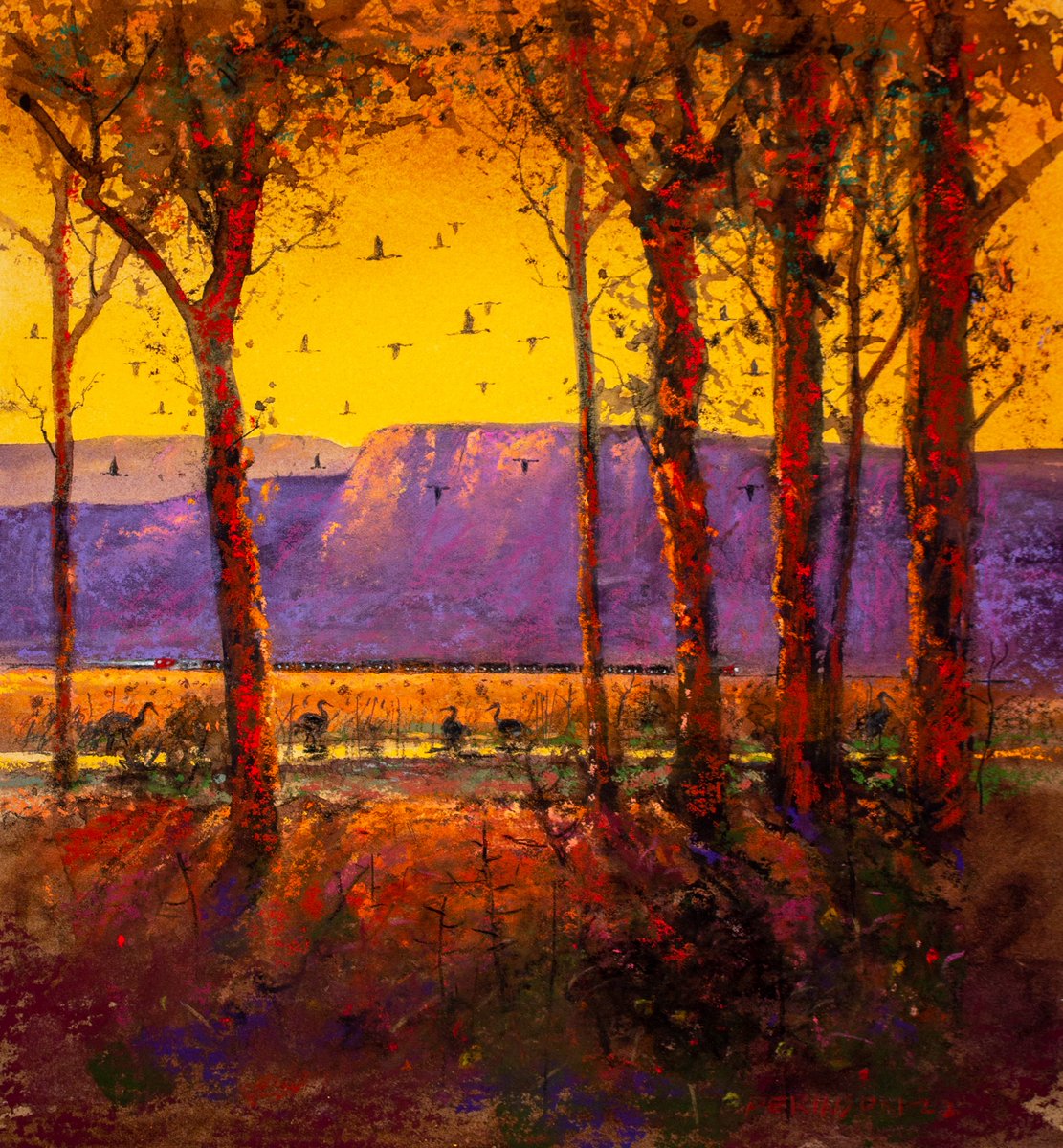 Tom Perkinson tweet media