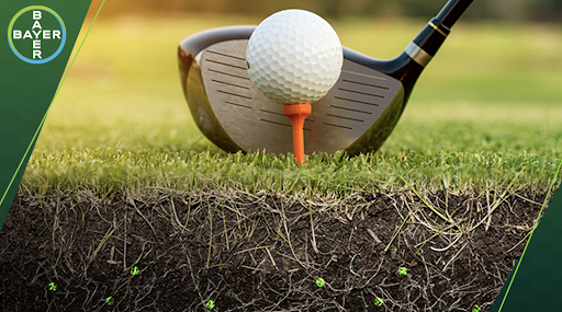 EnvuGolfUS's tweet photo. Nematodes could be taking root in your turf as we speak. Now’s the time to order #Indemnify. It’s proven to get into the root zone where nematodes thrive. Get started at https://t.co/2KdEK8H6aK https://t.co/w1SzAtUGMs