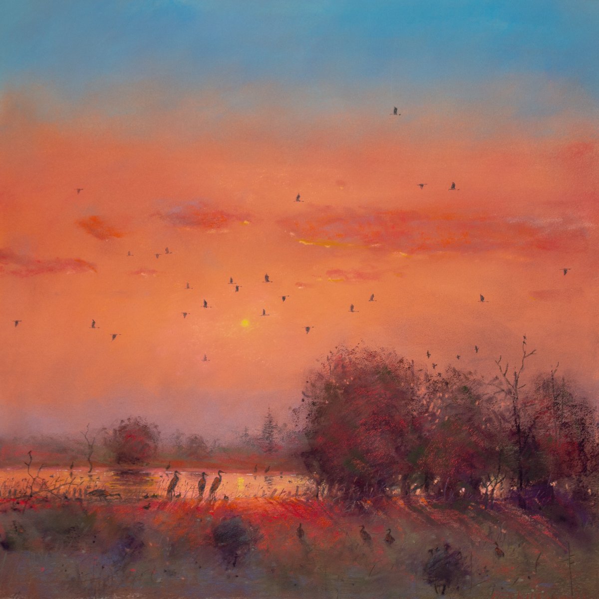 Tom Perkinson tweet media