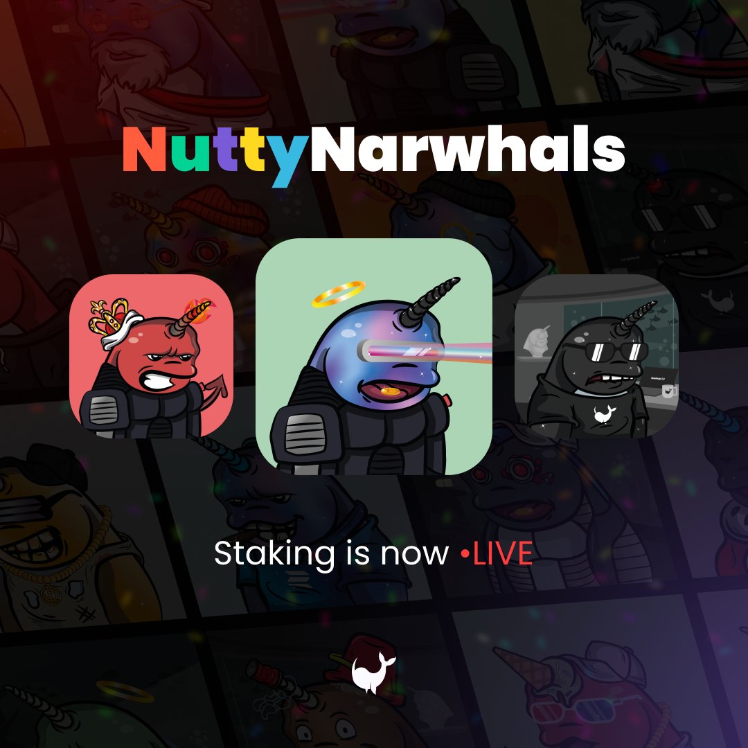 NuttyNarwhals's tweet photo. The first stage of our staking platform is now live! 🐳

➡️ https://t.co/UN4RujuZVr ⬅️

#NuttyNarwhals #solanaNFT #NFTstaking https://t.co/AVdyZageoj