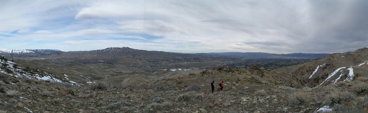 rmoayer's tweet image. 