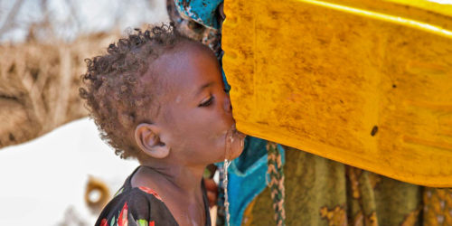 Somali Environmental Forum tweet media