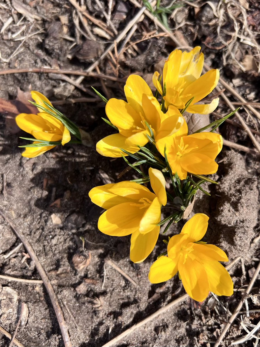 Found some friends.. 🌼🌼