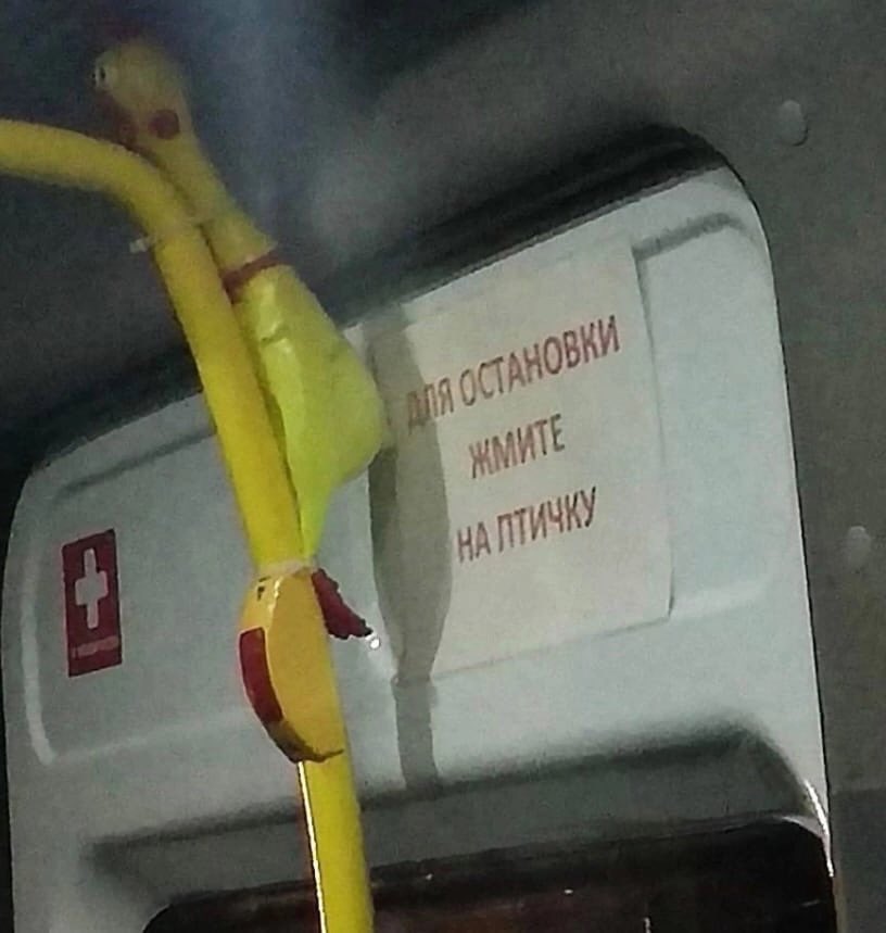 За что птичку то? @PtichkaLa