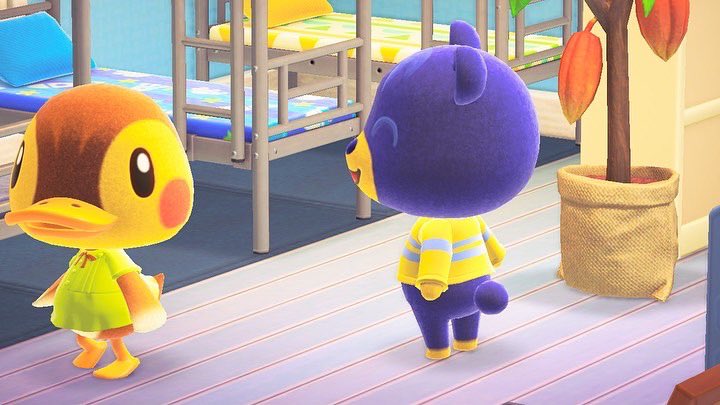 MayorAmanda1's tweet photo. I love when Molly and Poncho are together they make me so happy 

#AnimalCrossingNewHorizions https://t.co/DVtK1aOxgu