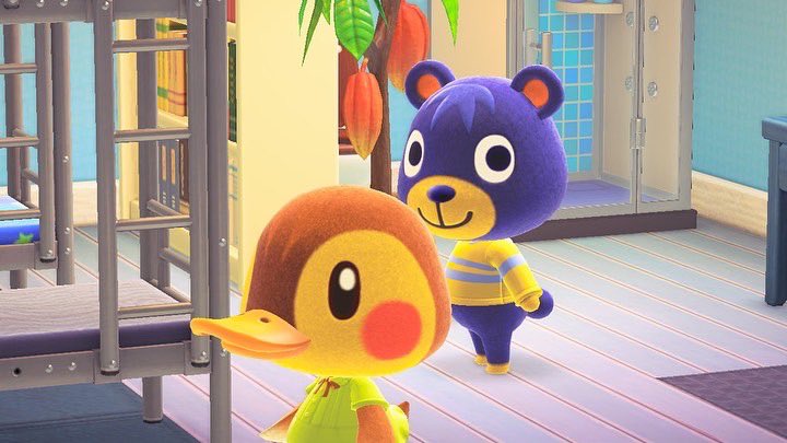 MayorAmanda1's tweet photo. I love when Molly and Poncho are together they make me so happy 

#AnimalCrossingNewHorizions https://t.co/DVtK1aOxgu