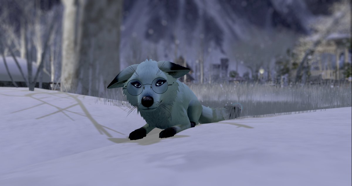 Needed to show off my new arctic fox ♥

#SecondLife #furry #feral #secondlifefurry #sl #slfurries